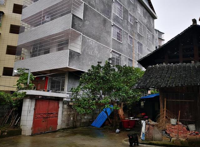邻居可以告违建吗(邻居修近300平违建挡了自家采光，这样起诉真的管用了)