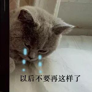 盗窃五万元能判刑多久能缓刑吗(把朋友灌醉后强行“刷脸”，盗走5万……法院判了)