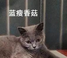 因为感情问题被骚扰可以报警吗(诉讼离婚过程中，对方跟踪骚扰、持续施加精神压力，我该怎么办？)