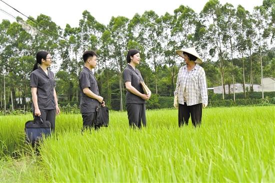 广东江门律师免费咨询(江门市中级人民法院 坚持以人民为中心 用心用情为群众解难题)