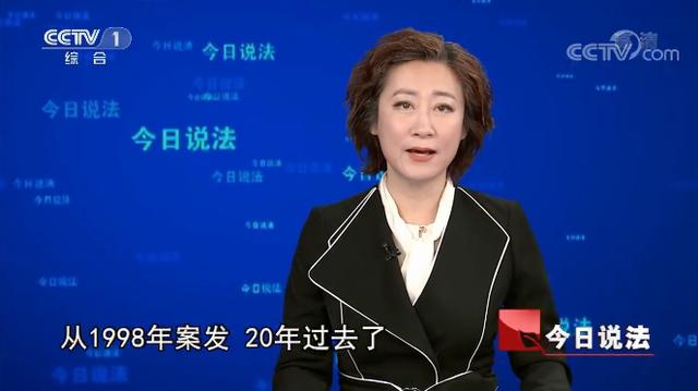 刑事案件追诉期20年(天涯追凶20年，漂白身份改头换面，追诉期20年过了还能判刑吗？)