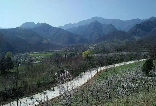 乒乓球案子挂灯(周至庙会风情：青山古会)