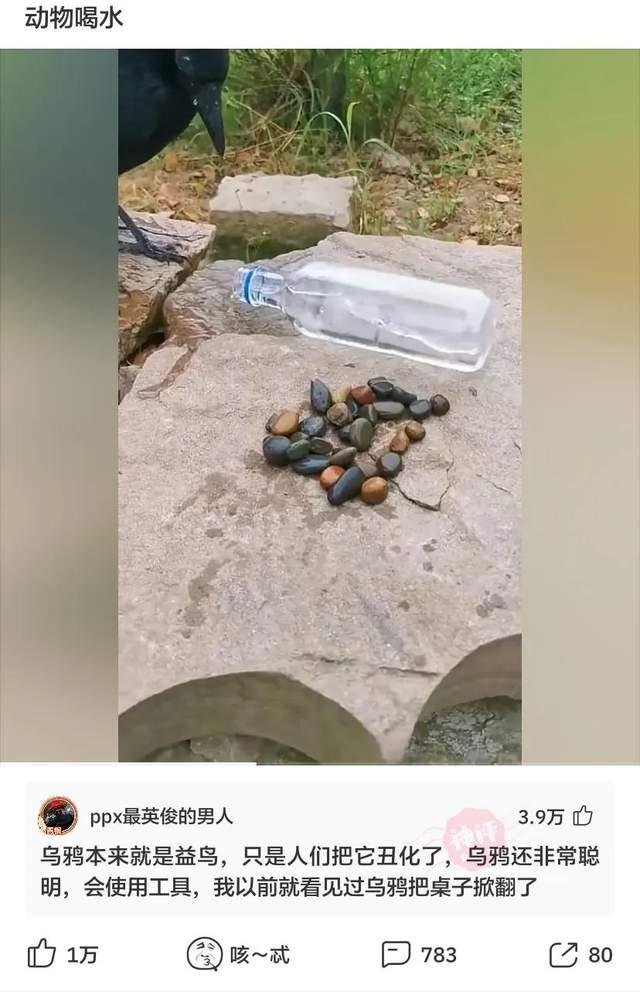 借钱理由(每日一笑：你遇到最奇葩的借钱理由是什么？)