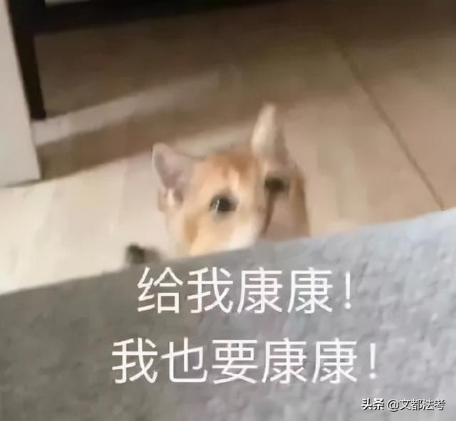 法律顾问多少钱一个月(法考热度逐年攀升，这些法律职业年薪不足10w？)