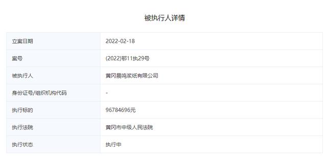 怎么查执行案件号内容(黄冈晨鸣浆纸有限公司成为被执行人 执行标的96784696元)