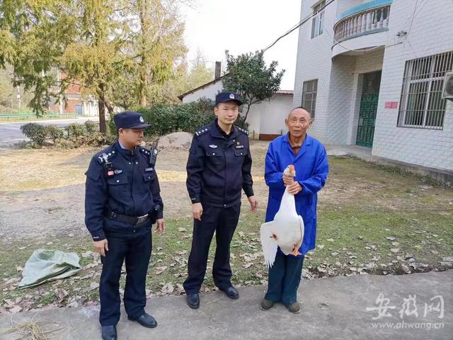 偷东西是拘留还是判刑(男子跨县偷盗一只大白鹅 被行政拘留十日)