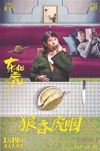 可以起诉第三者破坏婚姻吗狗肉哪些人不能吃(马丽个人的挣扎及其东北女性的集体困境)