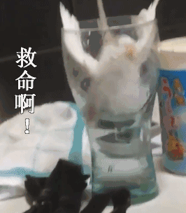 西安律师咨询费用标准(西安法律咨询服务 | 119出警要不要收费？)