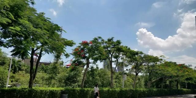 律师合伙人工资薪金所得(律师事务所当年亏损，合伙人的个人所得税要如何处理？)