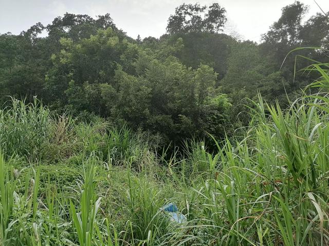 欠信用卡被起诉会冻结所有银行卡吗(信用卡贷款逾期后电话失联被起诉冻结银行卡，负债人错过了什么？)